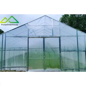 Commercial Greenhouse Farm Agriculture Greenhouses Low Cost Tunnel Greenhouse