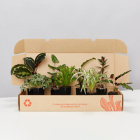 Boîte d'expédition en carton pour plantes vivantes en pot, personnalisée et imprimée