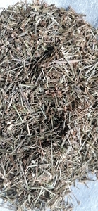 Ban <span class=keywords><strong>Zhi</strong></span> <span class=keywords><strong>Lian</strong></span> Bán Số Lượng Lớn Khô Tự Nhiên Hoang Dã Scutellaria Barbata Cắt Giảm - Product Image 5