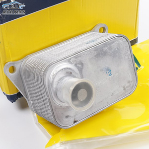 06j117021j 06j117021q 06j117021p tản nhiệt dầu động cơ mát cho Q3 Lei A4 Golf Passat CC Q5 Jetta 06j 117 <span class=keywords><strong>021</strong></span> J Q <span class=keywords><strong>P</strong></span> - Product Image 6