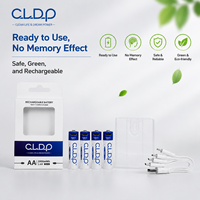 Piles rechargeables Ni-Zn AA 1,6 V 2000 mWh avec USB intégré, kit de 4 pièces pour équipement d'urgence