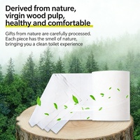 Échantillon Gratuit de Papier Toilette Jetable 100% en Fibre de Bois Vierge, 3 Plis, Super Doux, Soluble dans l'Eau