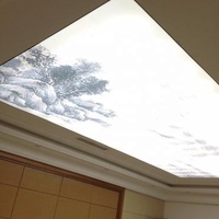 Matériau de décoration intérieure Plafond tendu en PVC imprimé en 3d pour salon européen pop