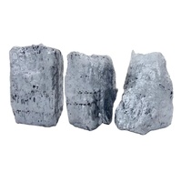 Ferrosilicium métal FeSi 75/72 ferrosilicium/ferrosilicium/silicium métal 10-50mm remise de prix livraison à temps