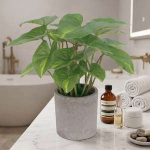 Piante Artificiali Realistiche in Vaso da 30cm, Monstera, Alocasia, Caladium, Vegetazione Simulata con Vaso per Decorazione Casa, Ufficio, Scrivania - Product Image 6