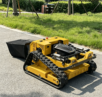 Tondeuse à gazon de jardin de 600 mm, très populaire au niveau mondial, avec télécommande et type chenillé compact, équipée d'un bac de ramassage d'herbe