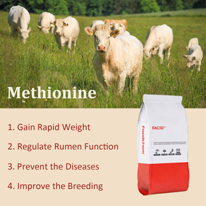 Trung Quốc cung cấp chi phí-hiệu quả Methionine bột hiệu quả thức ăn chăn nuôi phụ gia thành phần thực phẩm - Product Image 2