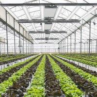 Lampe de culture LED pliable à spectre complet COB 650W 1000W pour horticulture commerciale, intensité réglable, pour la culture de plantes et le contrôle des adventices