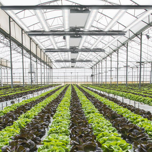 Lámpara <span class=keywords><strong>LED</strong></span> Plegable de Espectro Completo COB para Horticultura Comercial, 650w 1000w, Regulable, para Cultivo de Plantas y Cultivo de Cannabis - Product Image 4