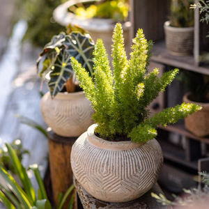 Macetas <span class=keywords><strong>de</strong></span> <span class=keywords><strong>cactus</strong></span> <span class=keywords><strong>suculentas</strong></span> personalizadas, decoración <span class=keywords><strong>de</strong></span> balcón, minimacetas <span class=keywords><strong>de</strong></span> flores <span class=keywords><strong>de</strong></span> cemento <span class=keywords><strong>y</strong></span> jardineras - Product Image 3