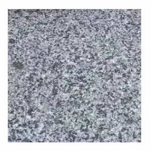 High Quality Custom Natural Granite Exterior Paving Stones for Outdoor Decoration
