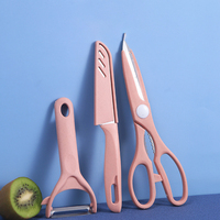 Ensemble de 3 couteaux à fruits en acier inoxydable, éplucheur de cuisine multifonctionnel pour la maison, ciseaux pour Chef de cuisine, couteau d'office pour fruits