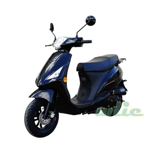 2 Stroke Mountain Mini Motorcycle Small Buggy 50CC Scooter