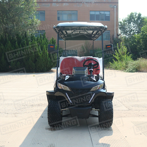 Shininglsv 8座哑光黑色电动高尔夫球车ce认证48v钢材料 - Product Image 3