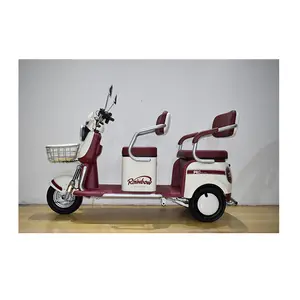 Promotional Low Price Electric Passenger Tricycle Heavy Load Tricycle