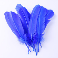 Plumes de dinde colorées blanches et noires teintes sur mesure en gros, 25-30 cm, pour l'artisanat et les fêtes
