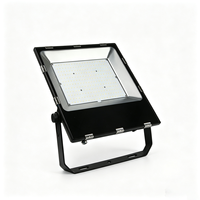 Iluminación LED para Exteriores, IP65, Carcasa de Aluminio, Venta al por Mayor de Fábrica, Diseño Personalizado Aceptado, Luz de Seguridad de Alto Lumen