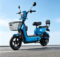 Vélo électrique pour adultes 48V haute performance, moteur sans balais, étanche, pneus anti-explosion, vélo électrique à deux places