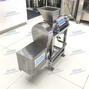 מכירה לוהטת מסחרי קר עיתונות מסחטה מכונה/פירות וירקות מיץ Extractor - Product Image 4