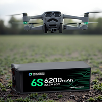 QiQi Solid Ion LiPo 6S 6200mAh 8000mAh pour FPV Drone et RC Model Hobby