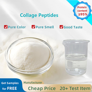 Poudre de Collagène Bovin Hydrolysé Qualité Alimentaire Complément Quotidien Agents Aromatisants Certifié ISO/<span class=keywords><strong>HALAL</strong></span>/HACCP Teneur en Protéines de 99% - Product Image 3