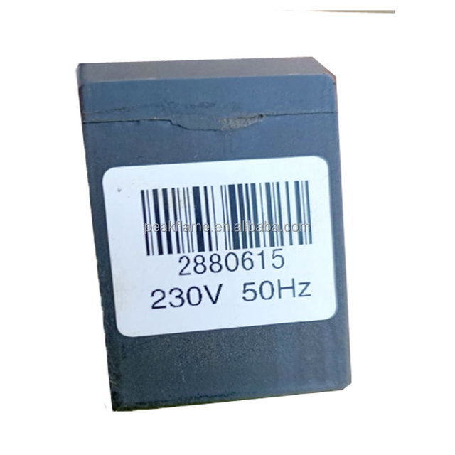 Riello Solenoid Valve Coil 2880615 230V 50Hz