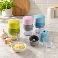 Ensemble hachoir manuel 3-en-1 pour ail et noix, presse-ail torsadée en plastique ABS, récipient transparent en PS, mini hachoir à épices, outil de cuisine