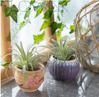 Tanaman Tillandsia & Rumput Nanas Realistis Buatan Produsen, Gaya Boho, Tanaman Palsu untuk Dekorasi Meja Pernikahan, Gaya Rumah Modern
