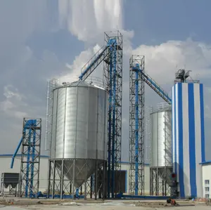 Small Grain Silos 50T 100T 150T China Manufacturer Top 3# Silo Grains Rice Husk Wheat Corn Maize Paddy Storage Grain Silos