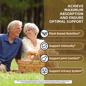 Beste prijs groothandel voedingskwaliteit brandnetel extract 7% siliciumzuur brandnetel extract poeder biologisch natuurlijk brandnetelwortel extract poeder - Product Image 3