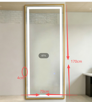 Miroir de salon moderne et durable en acier inoxydable avec cadre doré, éclairage LED écologique, portable, mural, pleine longueur pour salons de coiffure