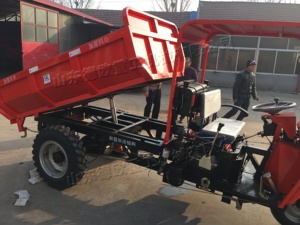 Nuovo Modello 2026 Triciclo Diesel a 3 Ruote ad Alta Capacità di Carico con Cassone Ribaltabile Idraulico per Africa e America Latina - Product Image 2