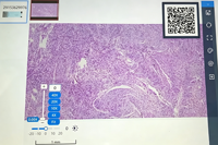 Microscope 20x Ultra-high Resolution Dual-slide Digital Slide Scanner, Laboratory Research and Teaching