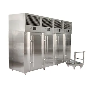 Shock Flash Fish Meat Quick Food Freezing IQF Machine Instant Industrial Cryogenic 500kg Hour Chiller Blast Freezer