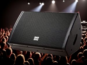Haut-parleur OEM ODM VD - 15 Stage - Ready 15 pouces, dispersion 90 ° * 60 °, 250W RMS, 60Hz - 18KHz, idéal pour les performances en direct - Product Image 5
