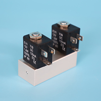 Double électrovanne en aluminium à basse température G1/8, collecteur à 2 voies, 12vdc, pour les canons d'effroi des oiseaux