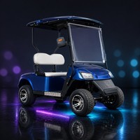 Voiturette de golf électrique écologique 2 places, sans entretien, batterie 100A, vitesse 30-50 km/h, autonomie 90 km, pour parcours, communauté, loisirs et usage quotidien