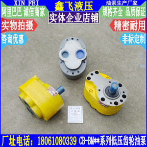 Bomba de Aceite para Engranajes Serie CB-BM de XIN FEI, Bomba Hidráulica de Hierro Fundido de Baja Presión para Transferencia de Aceite Lubricante - Product Image 3