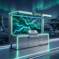 Innovadora Estación de Cocina Modular para Exteriores con Cubierta Abatible Motorizada, Acero Inoxidable, Moderna, Resistente a la Intemperie, para Patio o Sala de Estar