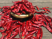 Piment rouge entier naturel séché du Sichuan, Chine, 25 kg, épice de qualité alimentaire pour l'exportation