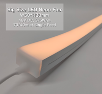 Bande LED néon flexible géante 50*30mm 48V, étanche IP67, à pliage supérieur, pour extérieur de villa et bâtiment