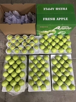 Graines de lotus fraîches du Vietnam, achat en gros, prix compétitifs, exportation en gros, produit agricole