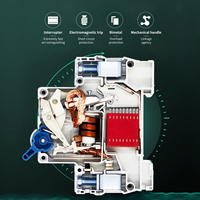 TOMZN 2P AC MCB TOB1-63 Tipo C 230/400V~ 50Hz/60Hz Mini Interruptor Automático 6A 10A 16A 20A 25A 32A 40A 50A 63A