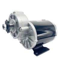 Motor DC 450W 24V/36V/48V Brushed Permanent Magnet Gear untuk Sepeda Listrik/Sepeda Roda Tiga & Skuter, Penggunaan Rumah Pintar MY10120Z