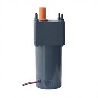 Motor de CC Industrial de Alto Torque con Imán Permanente, 3000 rpm, 12v/24v/90v/180v, con Reducción de Engranajes, para Electrodomésticos, Ventiladores de Barco, 120W, IP44