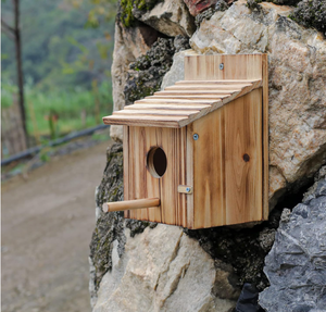 Para exteriores con poste Casa de madera para mascotas para Pinzón Bluebird Cardinals Liquidación colgante Jardín Cabañas de campo Casas de madera para pájaros - Product Image 3