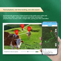 Traceur GPS solaire 4G pour bétail, positionnement précis, historique des trajets, étanche IP68, longue durée de vie de la batterie, en stock