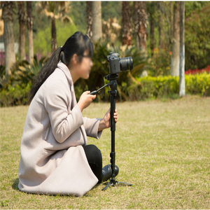 Monopiede Professionale WF3978M per Fotocamere Digitali <span class=keywords><strong>Nikon</strong></span>, Canon, Sony, Fuji, Pentax - Product Image 6