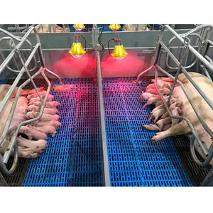 Perlengkapan Babi Lantai Plastik Lantai Slat untuk Babi
