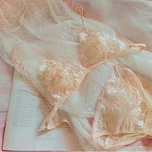 Set di Lingerie Sexy con Ricamo Floreale, Intimo Trasparente in Pizzo, Kit per la Cura della Pelle, Delicato Set Fatato da Donna, 2 Pezzi Reggiseno e Slip - Product Image 1